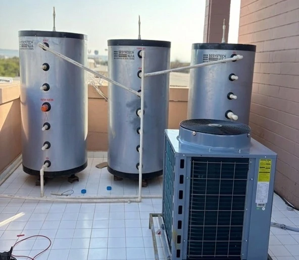 Domestic Heat Pumps